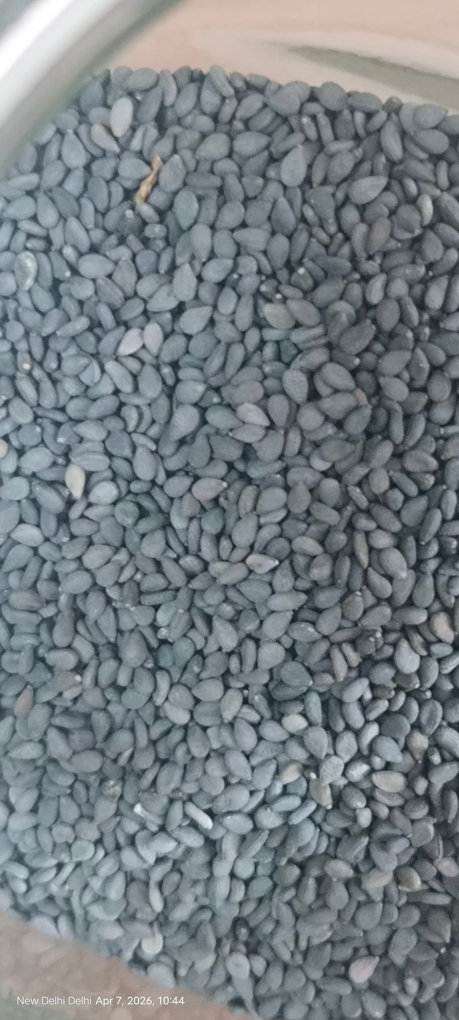 Black Sesame Seeds (Black Til)